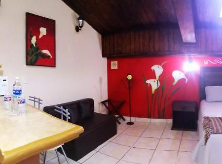 San Cristóbal de Las Casas Terraza Suites - Adults Only מראה חיצוני תמונה
