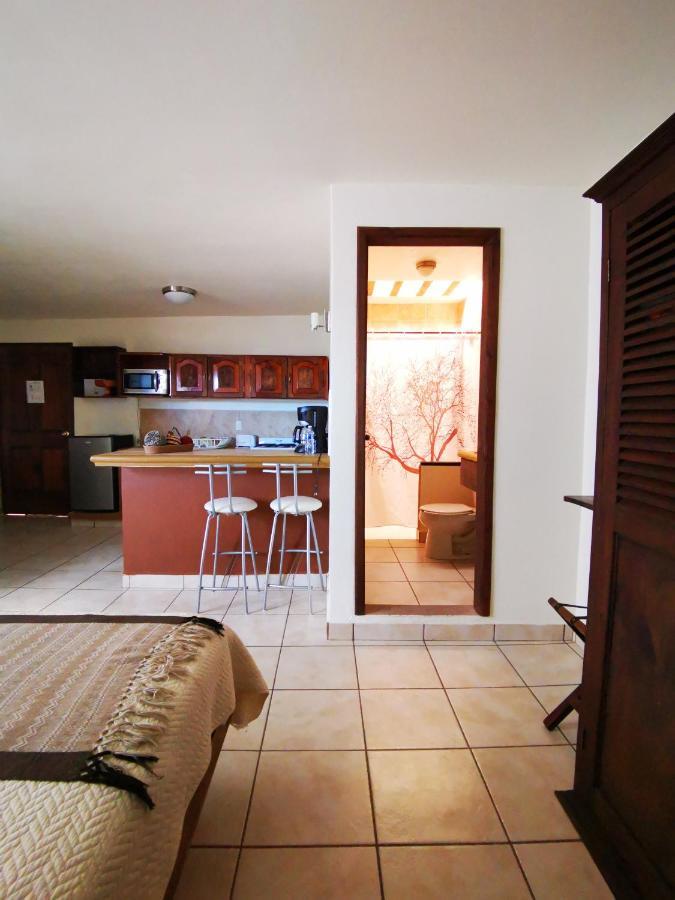 San Cristóbal de Las Casas Terraza Suites - Adults Only מראה חיצוני תמונה
