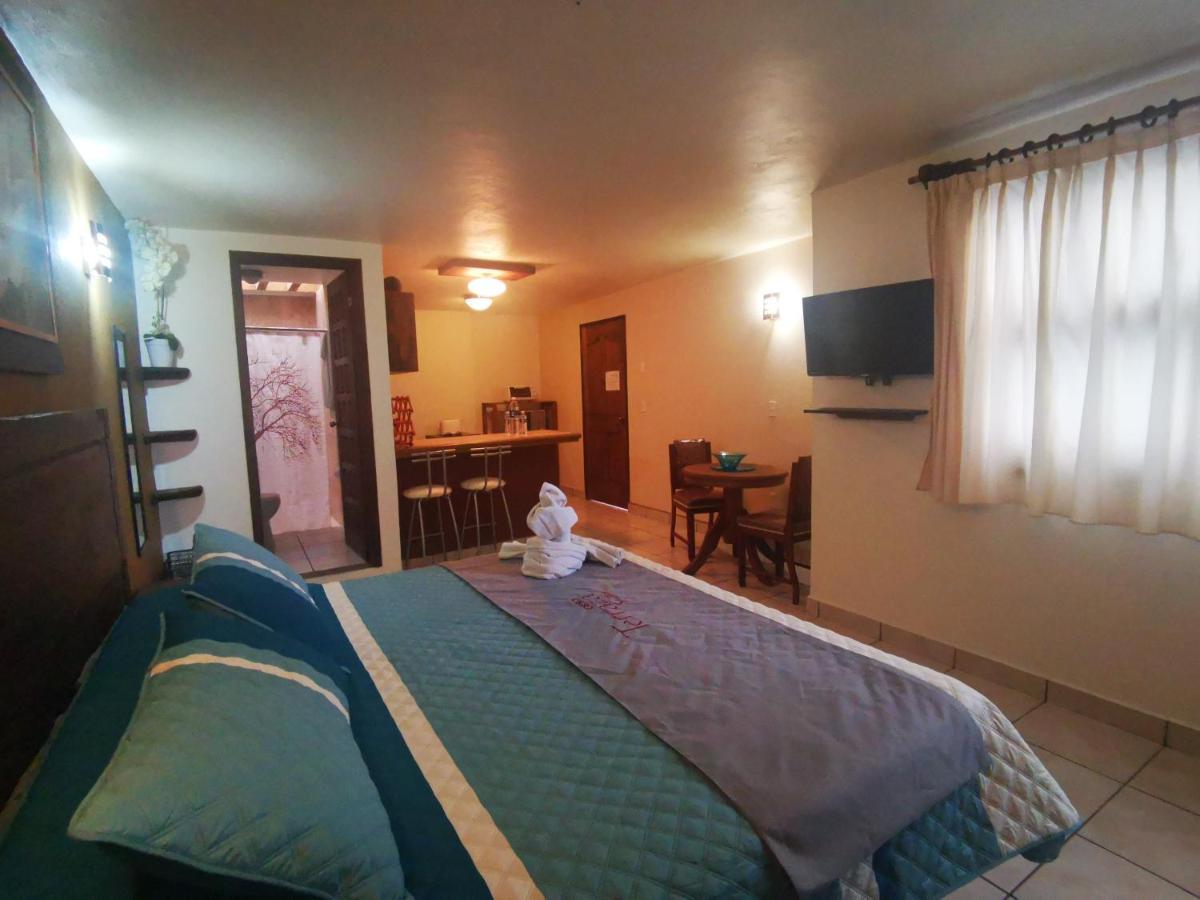 San Cristóbal de Las Casas Terraza Suites - Adults Only מראה חיצוני תמונה